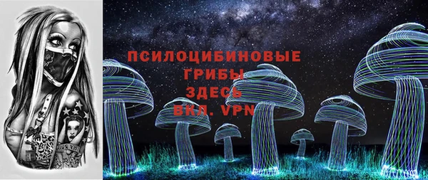 Альфа ПВП Пересвет