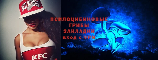 гидропоника Абаза