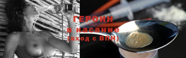 гашик Алексин