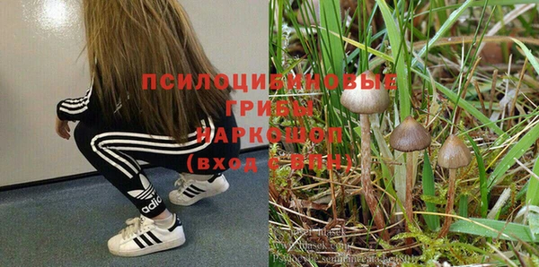 гидропоника Абаза