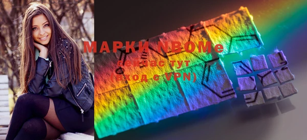 гашик Алексин
