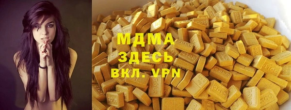 гашик Алексин