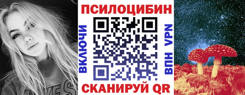 закладка Змеиногорск Псилоцибиновые грибы Magic Shrooms